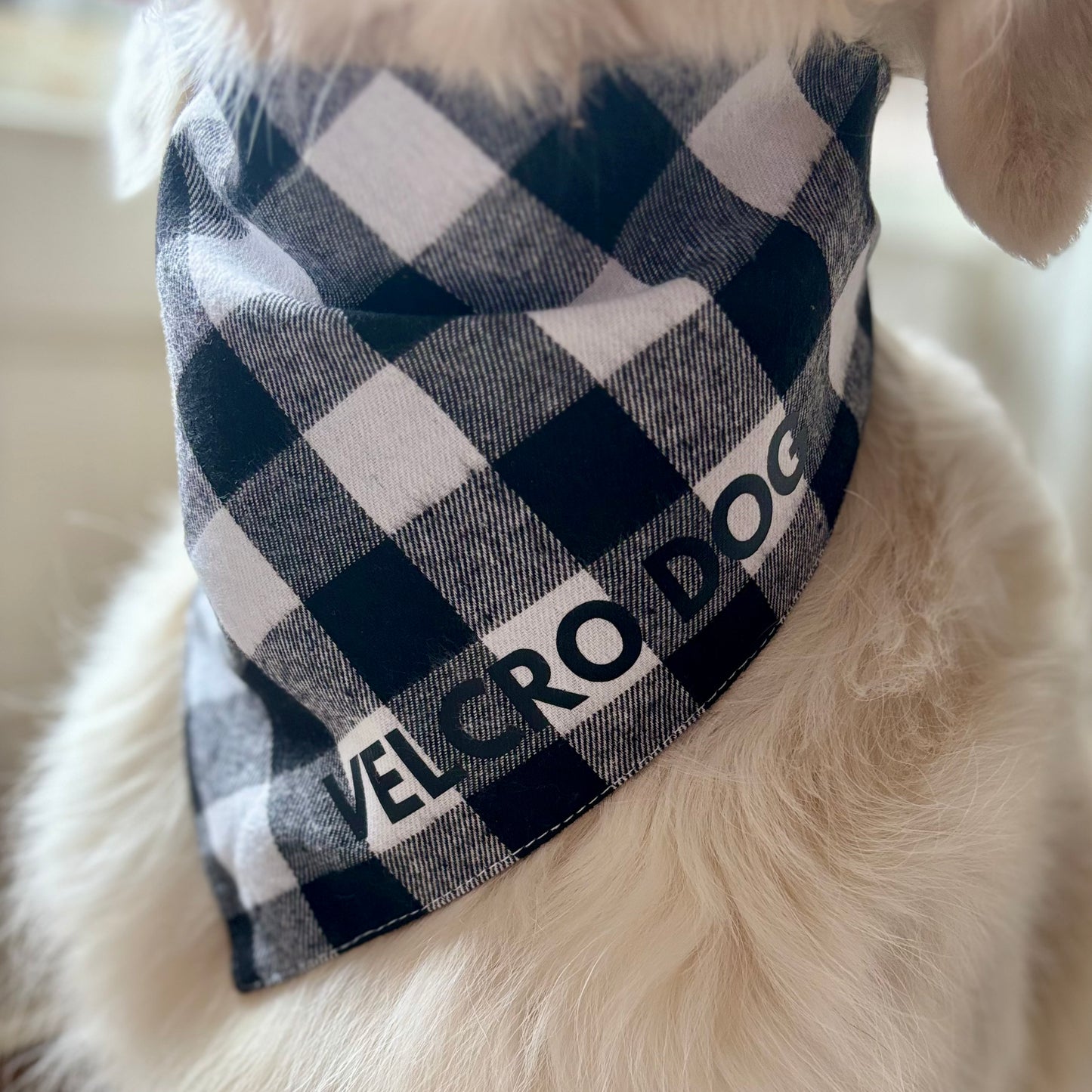Black and White Flannel Slogan Dog Bandana